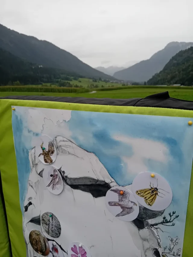 Vor einem Jahr war ich selbst noch Teilnehmer bei der Sportkletterlehrer-Ausbildung. Dieses Mal durfte ich als Referent für "Naturkunde-Praxis" aktiv werden. Danke an den Tiroler Bergsportführerverband für den schönen Auftrag! 😃

#natureandrock #tirolerbergsportfuehrerverband #tirolersportkletterlehrer