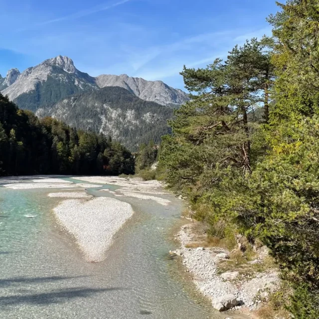 Neue Exkursion entwickelt und für gut befunden: Biodiversität & Klimawandel 😁 @naturparkkarwendel @klima_alps @visitseefeld Danke @simon_eis_ für die Bilder