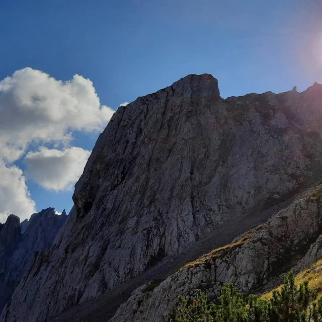Im Gelände unterwegs...
