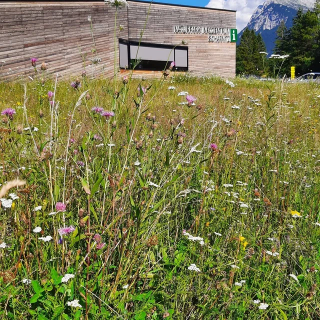 Soviel Vielfalt ist kaum zu fassen!