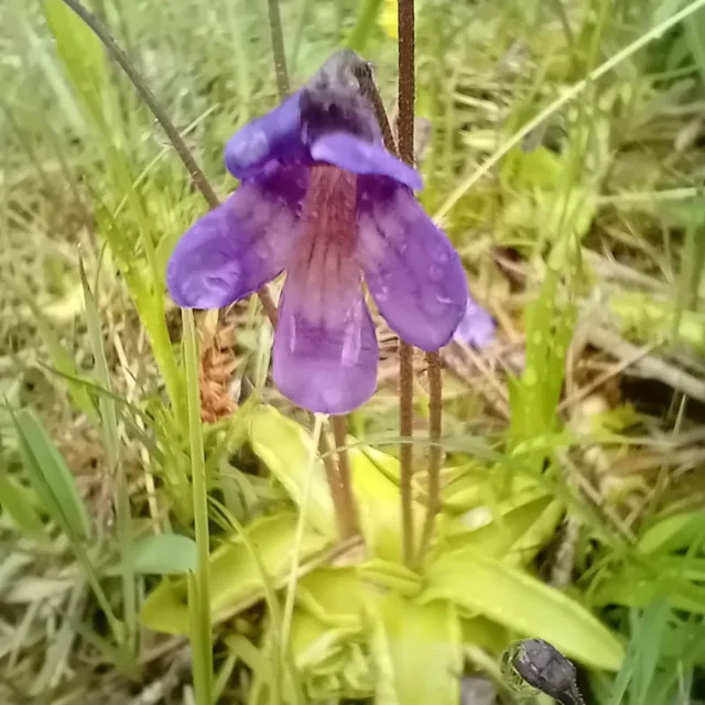 Bildungsurlaub "Alpine Wildflüsse": Tolle Truppe, starke Landschaft, lässige Partner #natureandrock #naturparkkarwendel #bildungsurlaub